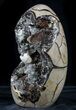 Polished Septarian Geode Sculpture - Black Crystals #55019-2